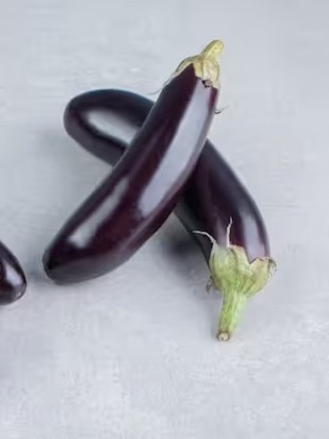 বেগুন ভুলেও খাবেন না, কাদের জন্য বিষ, জেনে রাখুন