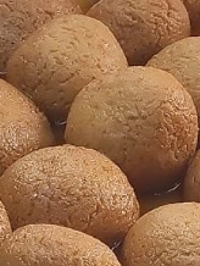 সেরা গুড়ের রসগোল্লা  পাওয়া যায় কলকাতার এসব দোকানে, ঠিকানা রইল