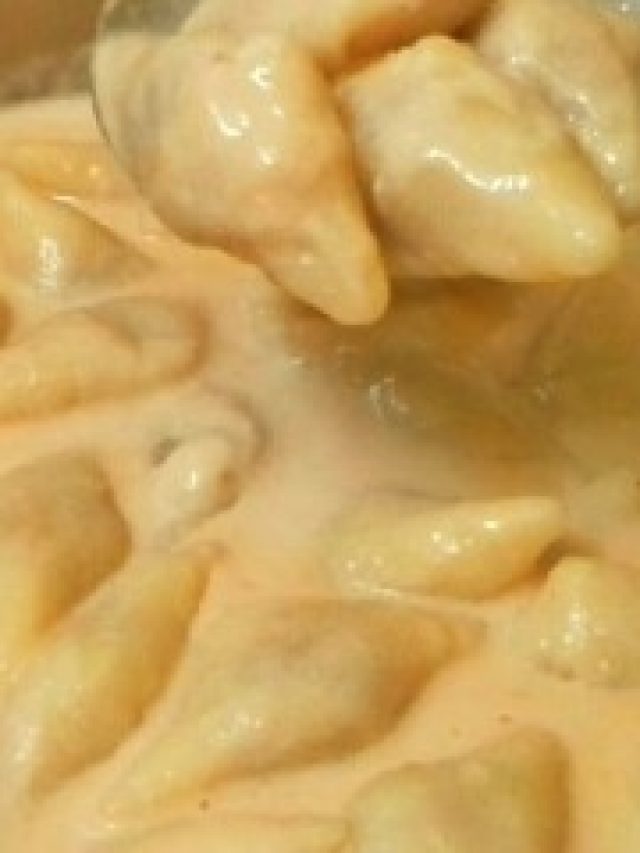 পিঠের ইংরেজি কী? সঠিক উত্তর অনেকেরই অজানা কিন্তু