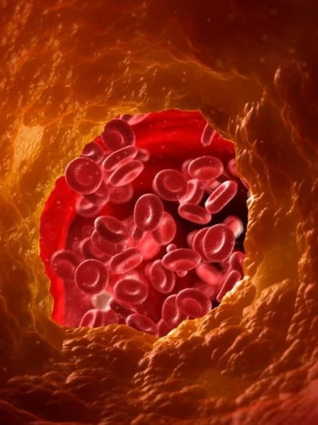 এই পাতা চিবিয়ে খান শুধু, তাতেই কোলেস্টেরল  উবে যাবে