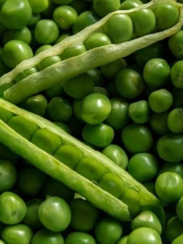 কড়াইশুঁটির খোসায় ভিটামিনের খনি, খেলেই চাবুকের মতো ফিগার, কীভাবে খাবেন, জানুন