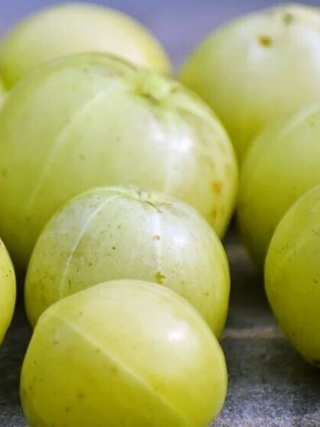 আমলকি কামড়ে  খেলে এসব হয়, জেনে রাখুন