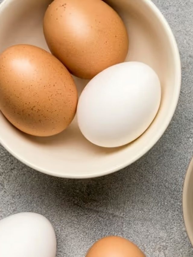 সাদা না বাদামি, কোন ডিম বেশি পুষ্টিকর? জানুন