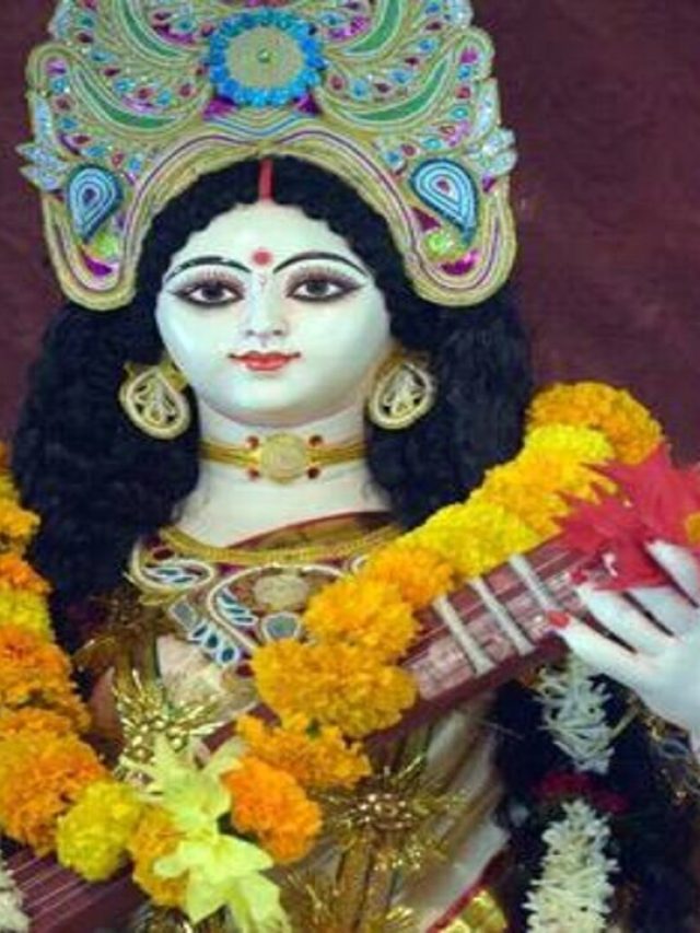 বোকা ছেলেরাও ভাল রেজাল্ট করবে, মা  সরস্বতীর কাছে রেখে দিন এই পাখির পালক