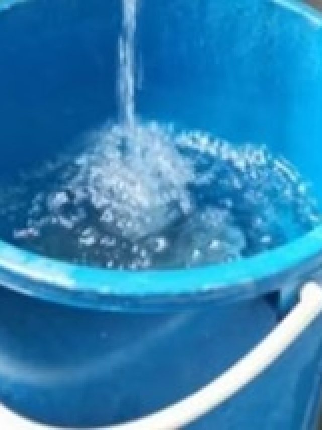 স্নানের জলে ফেলুন এই মশলা, শক্তি  বাড়াবে শুক্র, কাঁপিয়ে দেবেন