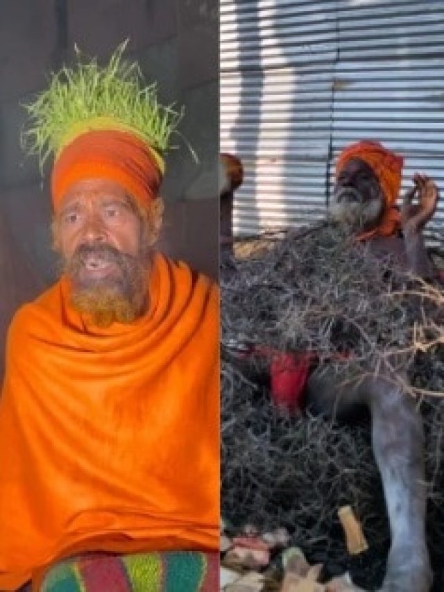 किसी ने सिर पर उगाई घास तो किसी का कांटों वाला बिस्तर...देखिए महाकुंभ के बाबाओं का अंदाज