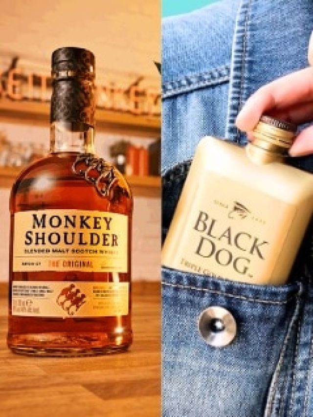 शराब से कैसे जुड़ा काले कुत्ते और बंदर का नाम, जानिए 'Black dog' और 'Monkey Shoulder' की कहानी
