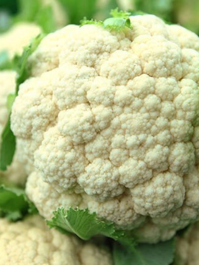 ফুলকপি খেলেই মরবেন, শীতকালে ভুলে যান এই সবজিকে