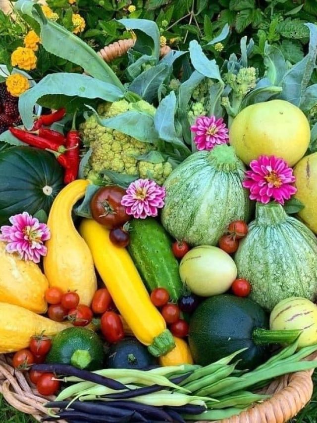 फरवरी में उगाएं ये 8 सब्जियां, होगा मुनाफा ही मुनाफा...