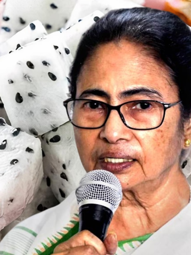 এই ফলের কথা বলেছেন মমতা, খেলে রোগবালাই থাকবে দূরে