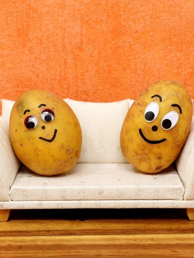 Jokes in Hindi: जब प्रेमी ने पूछा- मेरी सैलरी से गुजारा हो जाएगा? प्रेमिका का जवाब सुनकर हो जाएंगे हैरान