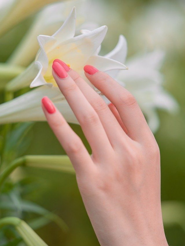 क्या है हैंड मॉडलिंग? बिना पढ़ाई भी कर सकते हैं मोटी कमाई