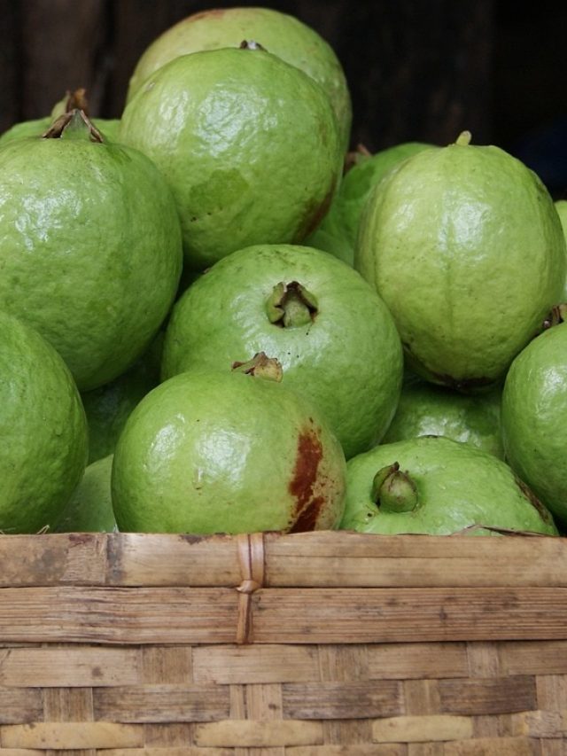 ये लोग गलती से भी ना खाएं अमरूद, बढ़ सकती है आपकी दिक्कत