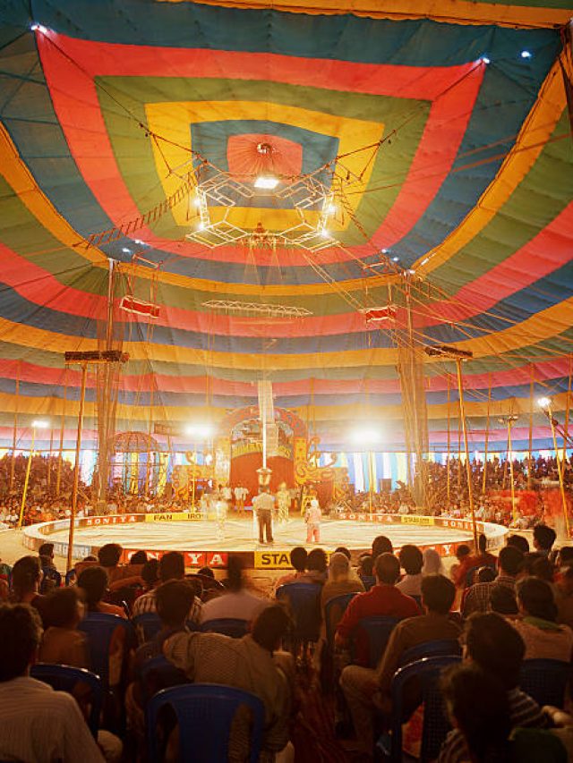 কলকাতায় সার্কাস! কোথায়-কবে-কটা থেকে শো? জেনে নিন