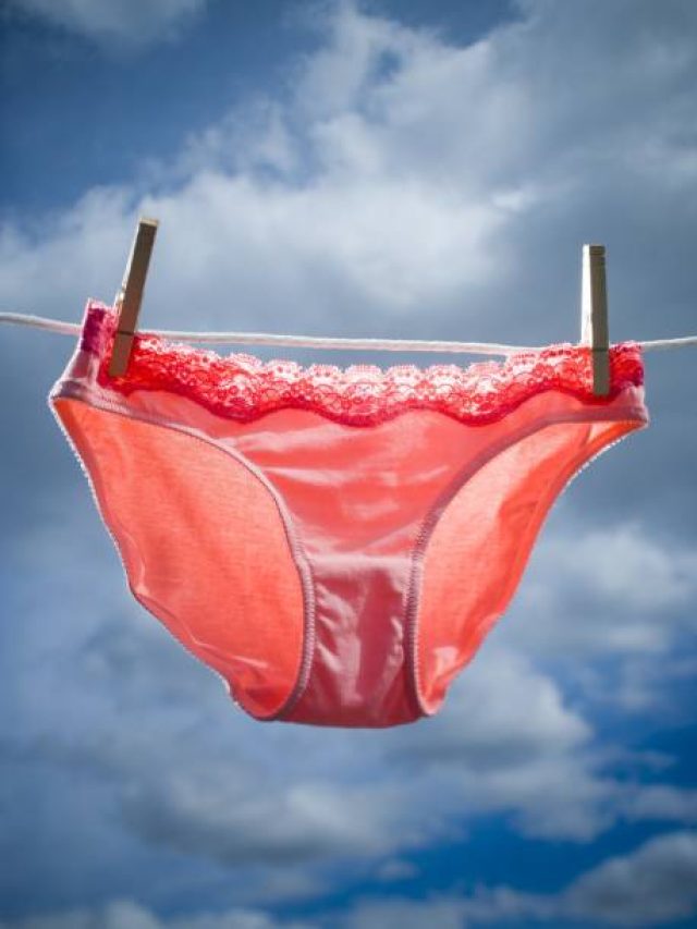 Panty-কে বাংলায় কী বলে? ৯৯ শতাংশ লোকই জানেন না