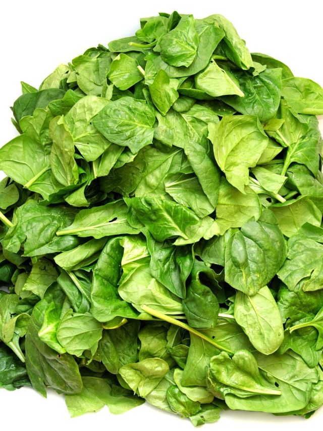 শরীরে এই ৫ সমস্যা থাকলে পালং শাক একদম খাবেন না, ভয়ঙ্কর ক্ষতি