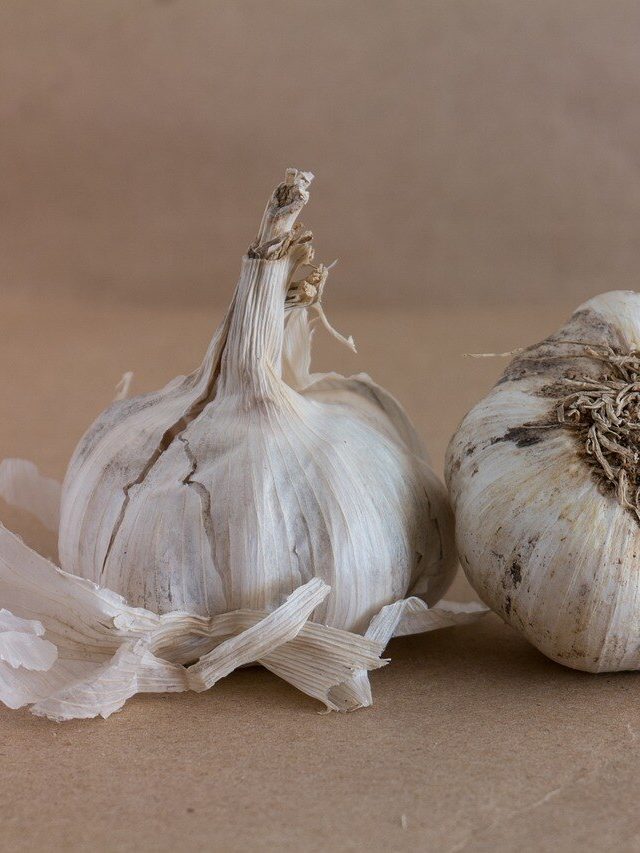 কেটে-কুটে রসুনের খোসা ফেলে দেন? এর গুণ জানলে আর ফেলবেন না