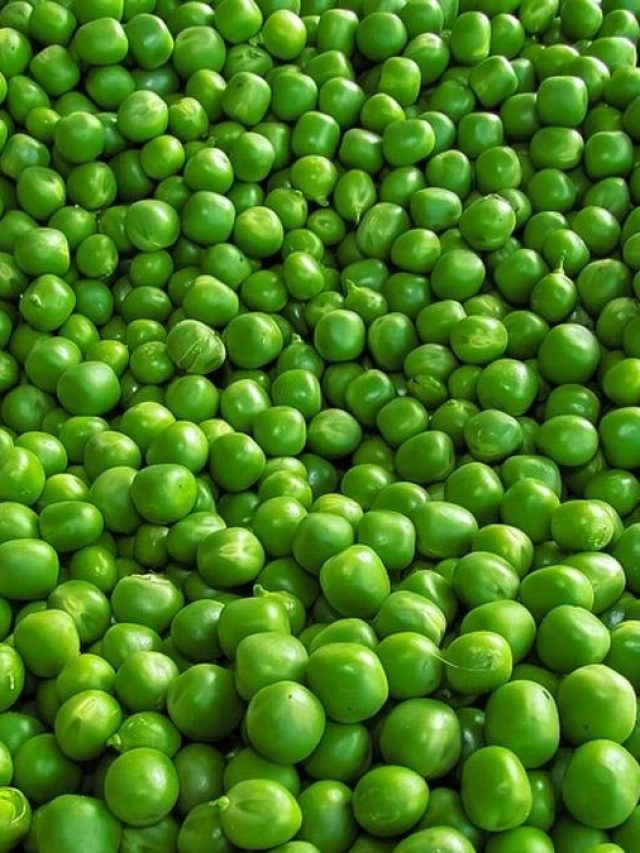 ৫ মিনিটেই হু হু করে ছাড়ান কড়াইশুঁটির খোসা, রইল নিনজা টেকনিক