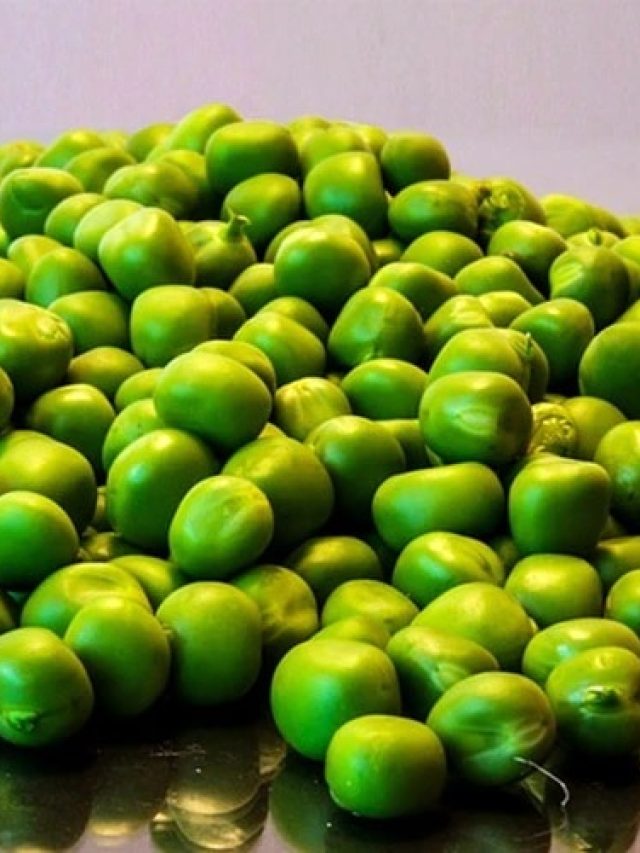 এই ভাবে কাচের বোয়ামে স্টোর করুন কড়াইশুঁটি, গরমেও খেতে পারবেন