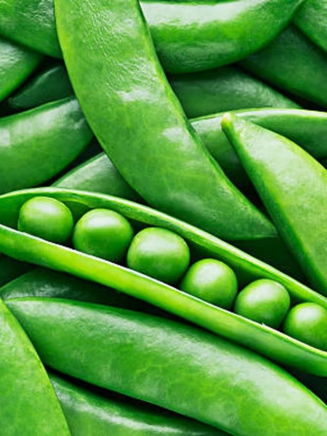 এঁদের জন্য নয় কড়াইশুঁটি, খেলেই ভুগবেন