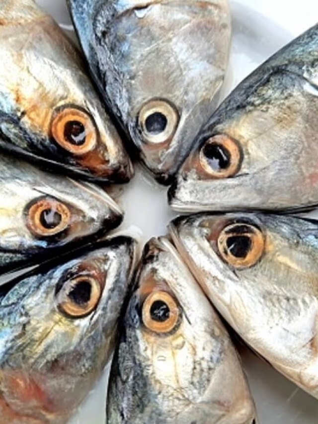 বুড়ো বয়স পর্যন্ত লাগবে না চশমা, মাছের এই অংশ খেলে তীক্ষ্ণ হবে নজর