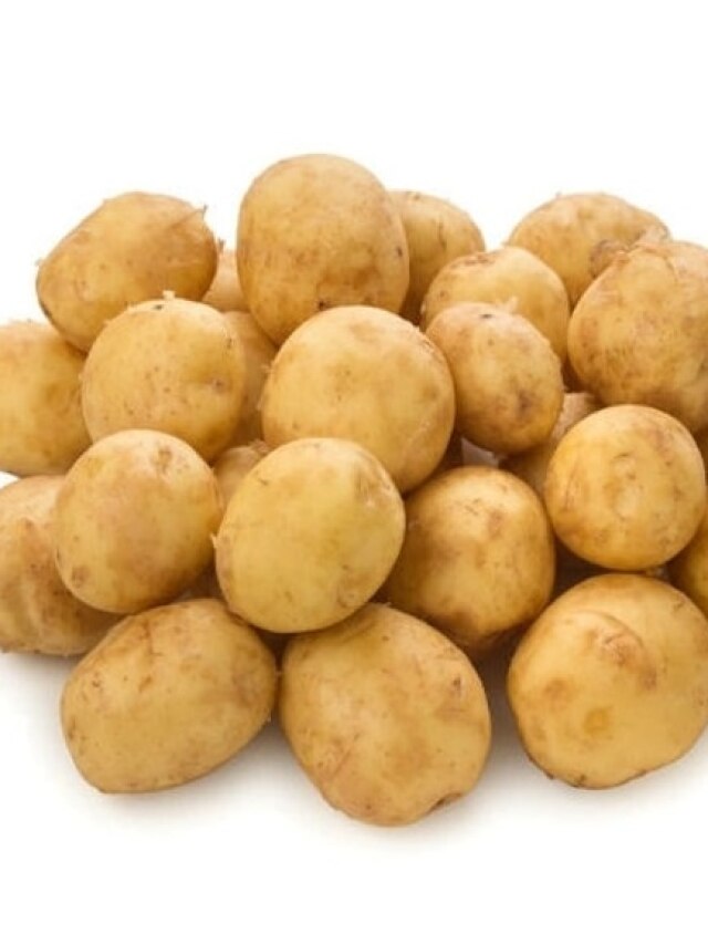 কীভাবে চিনবেন আসল চন্দ্রমুখী আলু? চাষী ভাইদের টিপস