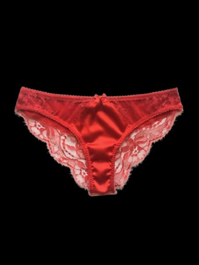 PANTY-কে বাংলায় কী বলে? জানলে মাথা ঘুরে যাবে