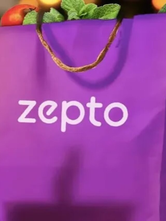 Zepto ने बनाई नई कंपनी, IPO को लेकर भी हुआ खुलासा!