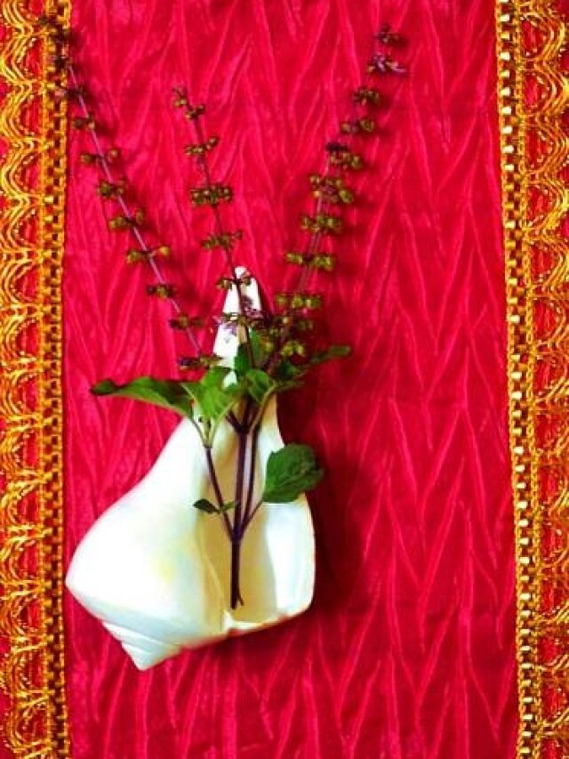 मौनी अमावस्या पर करें तुलसी से जुड़े उपाय, देवताओं का मिलेगा असीम आशीर्वाद