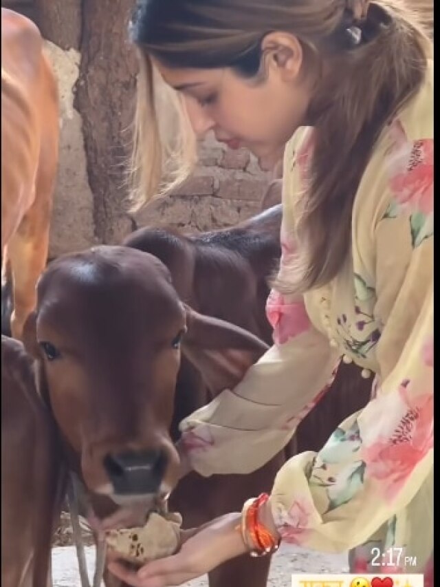 गौ सेवा कर रही एक्ट्रेस, शोबिज से दूर बसाया आशियाना, 1 साल पहले हुई थी शादी