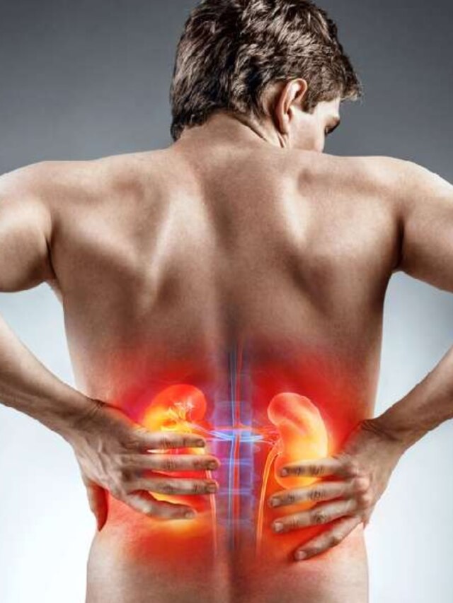 প্রতিদিনের এই ৫ খাবার কিডনিতে তৈরি করে পাথর, গোল্লায় লিভারও