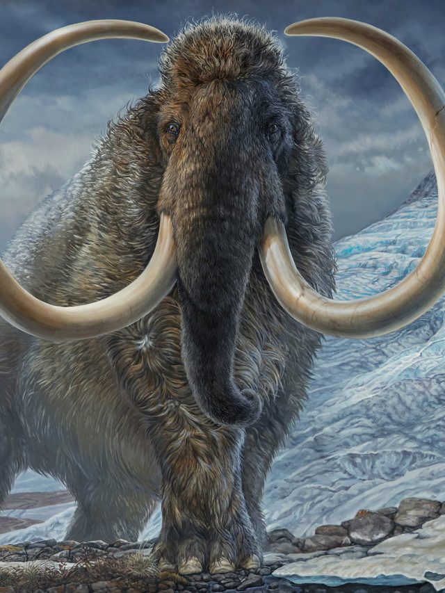 'Real-life Jurassic Park': Woolly Mammoths set to stomp the Earth again by 2028