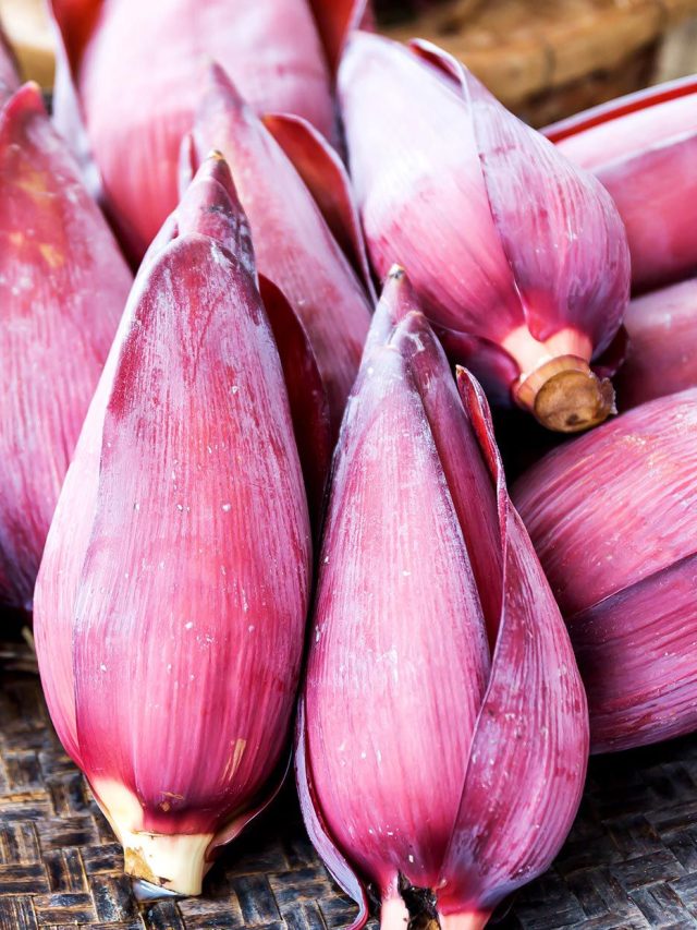 মোচাকে ইংরাজিতে কী বলে? জ্ঞানী গুণী মানুষরাও ভাবতে বসবেন