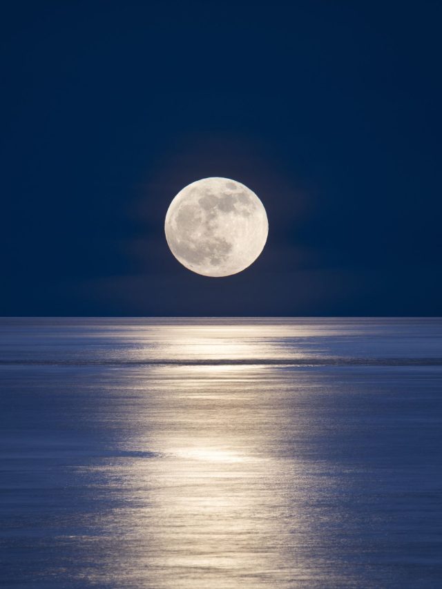 চাঁদ কোন দিকে ওঠে আর কোন দিকে অস্ত যায়? বেশিরভাগ লোকই জানে না