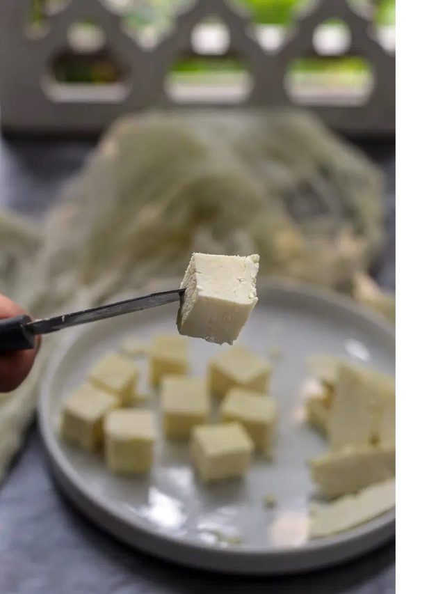 বাজার থেকে কেনা পনির ভেজাল নয় তো! গরম জলেই যাচাই করে নিন