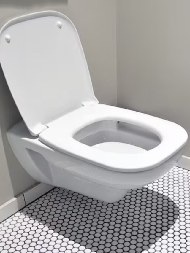 কমোডে পুরুষদের প্রস্রাবের নিয়ম আলাদা, না জানলে স্ত্রী রোগের বিপদ