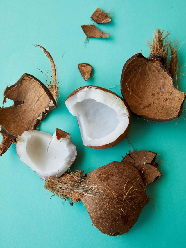 'নারকেলের ছোবড়া' দিয়ে করুন এই কাজ, টাক মাথায় হবে চুলের জঙ্গল