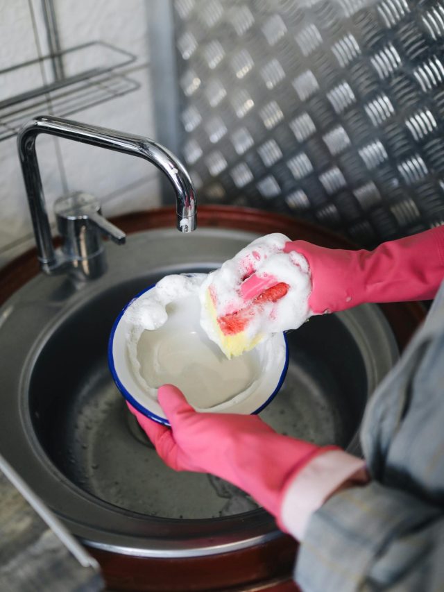 সাবান ছাড়া থালা-বাসন পরিষ্কার করার নিনজা টেকনিক! আর লাগবে না ডিশ সোপ