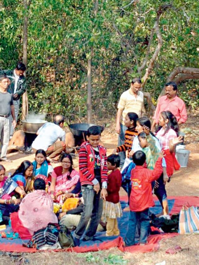 পিকনিকে কী খাবেন? রইল সকাল থেকে দুপুরে খাওয়ার মেনু