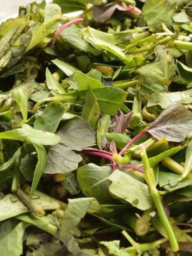 রাতে শাক কেন খেতে নেই? কারণ জানালেন মা-ঠাকুরমারা