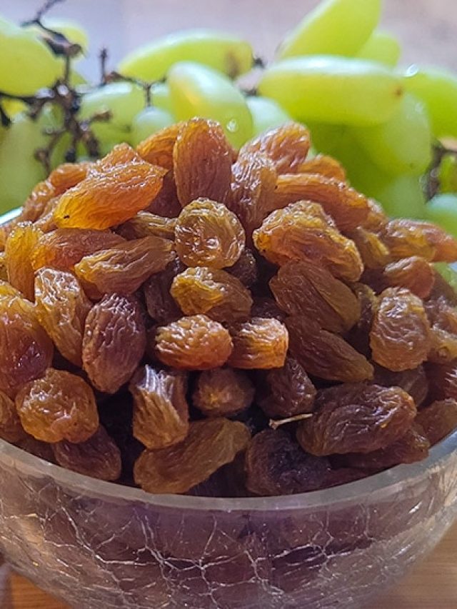 পোকা ধরেছে কিশমিশে? পুরনো টোটকাতেই কিশমিশ ভাল থাকবে বহুদিন