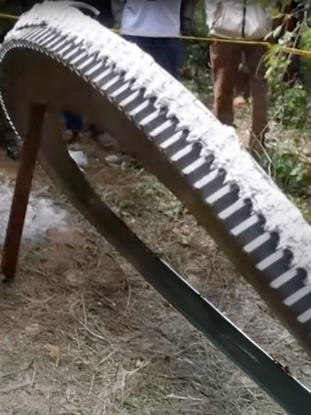 'Kessler Syndrome danger looms': Who’s to blame for Kenya’s New Year’s scare?