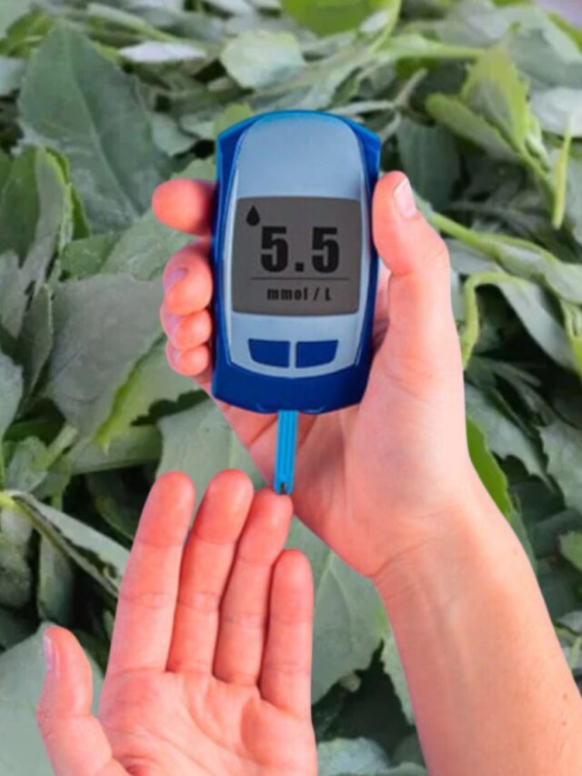 শীতের এই শাক খান প্রতিদিন, বাপ বাপ বলে পালাবে সুগার