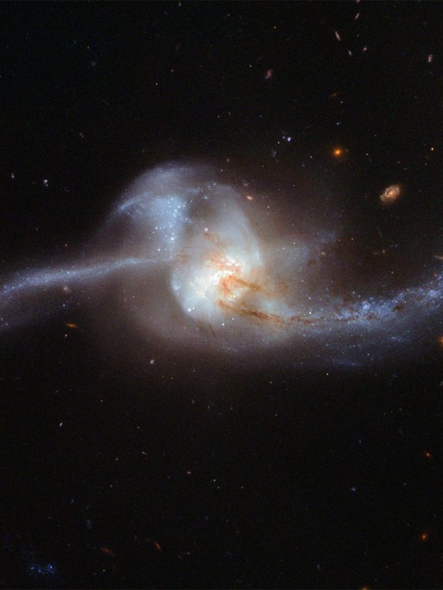 '2 stars became one': Hubble uncovers the chaotic birth of a rapid-spinning survivor