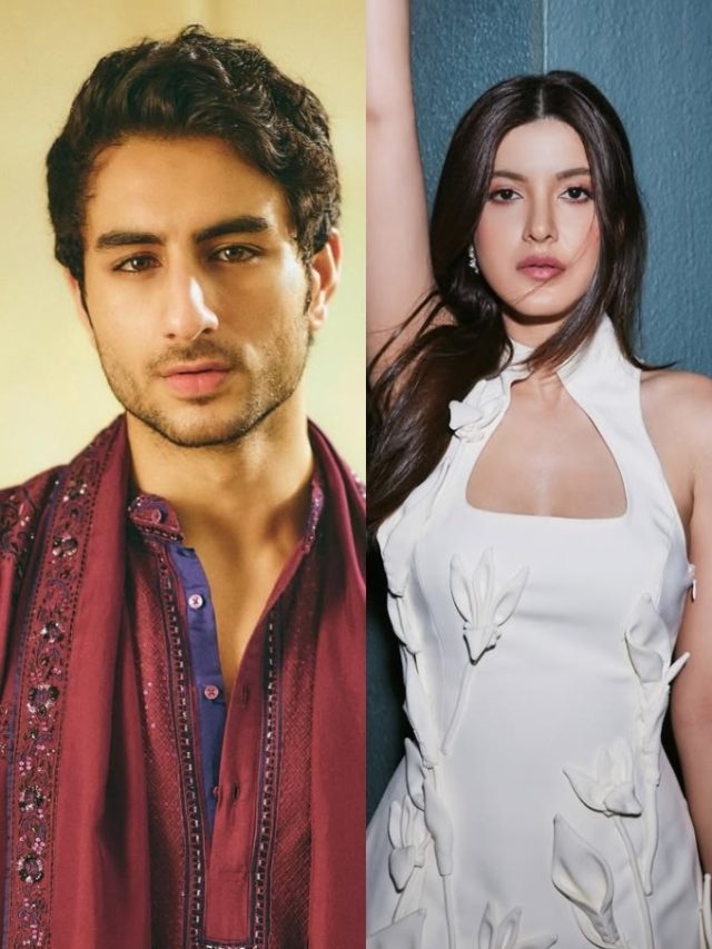 इब्राहिम से लेकर राशा तक, 2025 में इन स्टार किड्स का होगा डेब्यू, दांव पर लगे करोड़ों