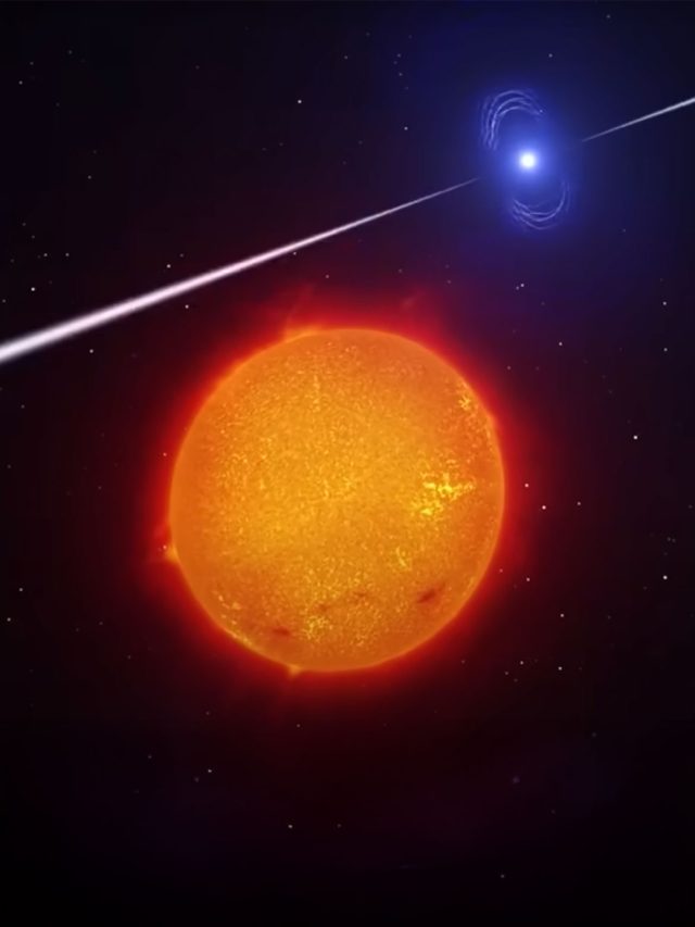 'The Sun has a secret twin': A hidden star with Earth-altering effects