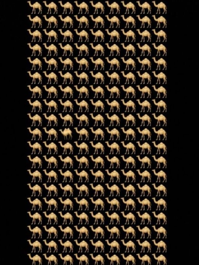 तस्वीर में छिपा है एक अलग तरह का ऊंट, 10 सेकंड में ढूंढने का चैलेंज