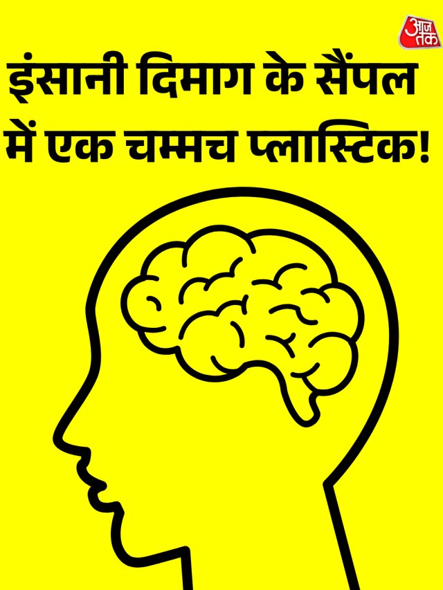 इंसानी दिमाग के सैंपल में म‍िली एक चम्मच के बराबर प्लास्ट‍िक