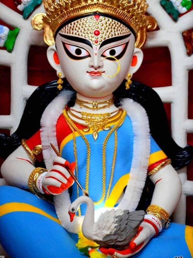 দেবী সরস্বতীর বাহন রাজহাঁস কেন? বহু পণ্ডিতেরাও জানেন না