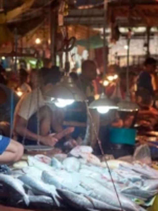 মাছের বাজারে বড় বড় আলো ঝোলানে থাকে কেন? জানলে অবাক হবেন